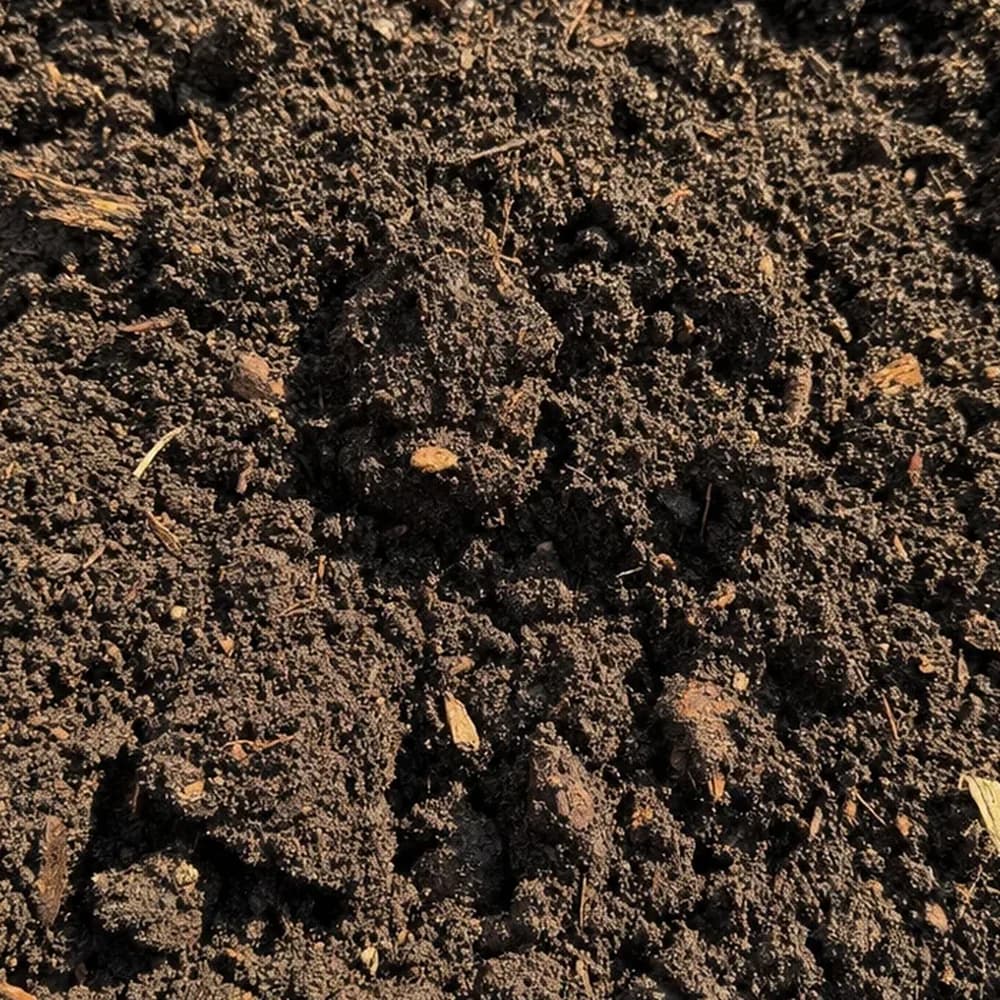 Garden Soil